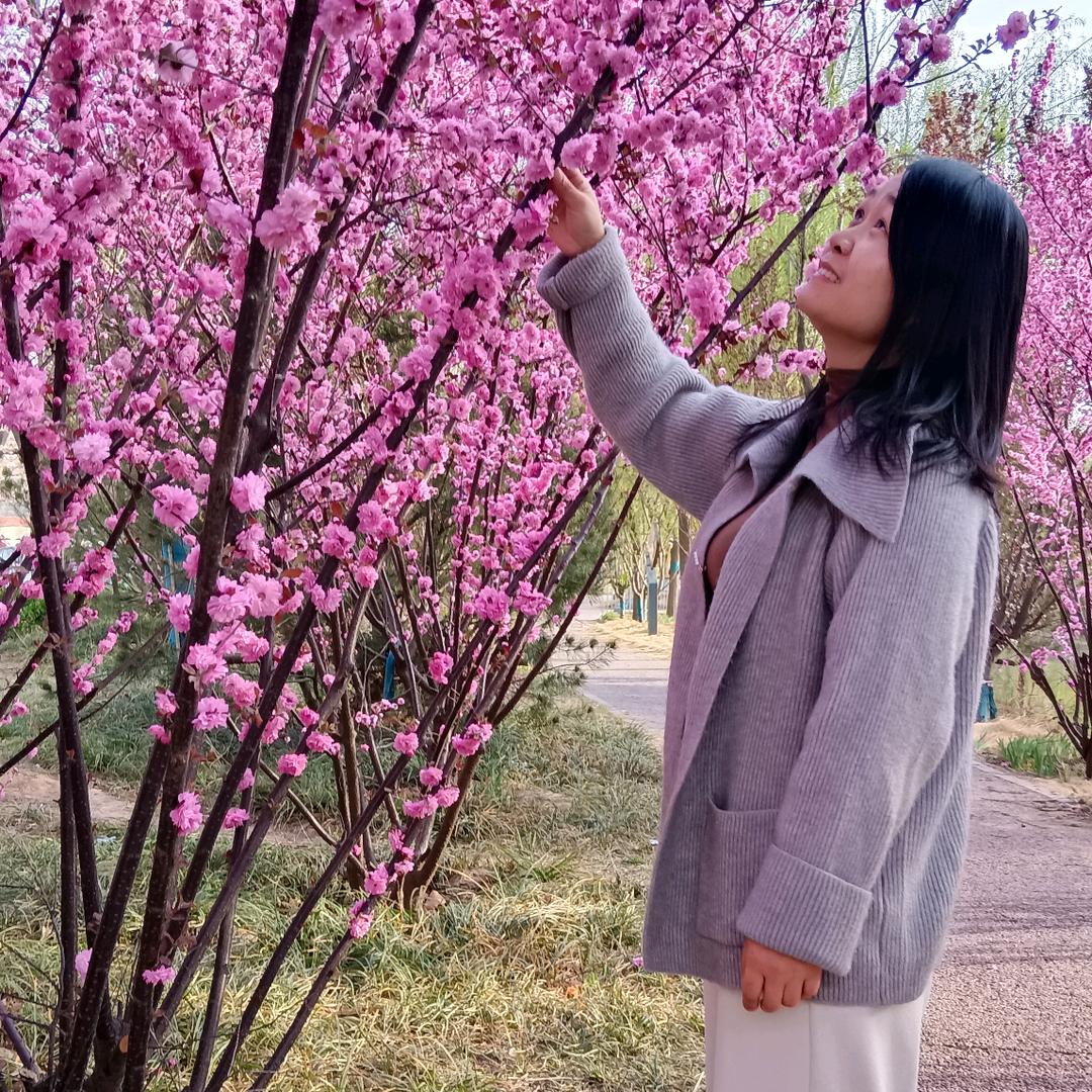 大李子(有关必回)