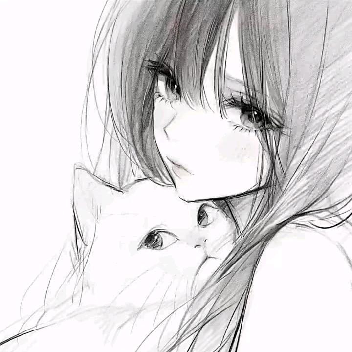 你落的泪找到答案了吗