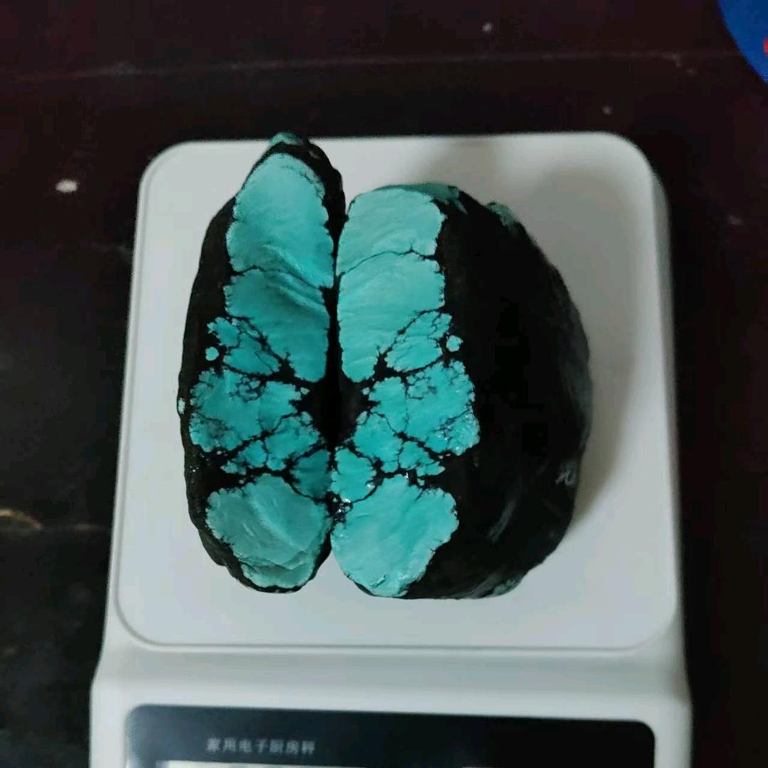 @九头鸟在非洲