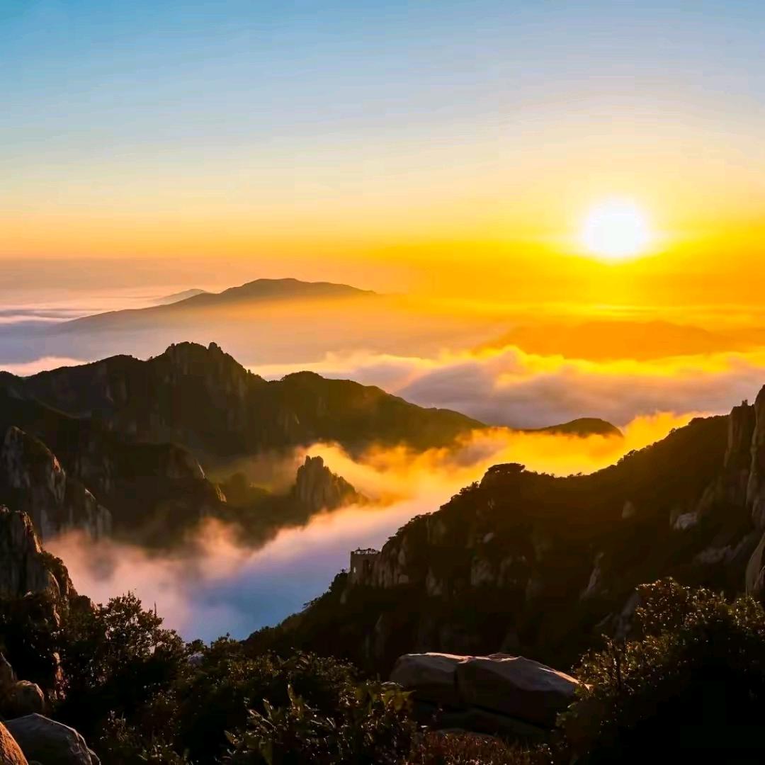 佳乐红颜草莓园🍓✔