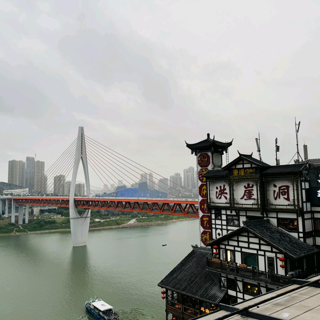 虫子在路上