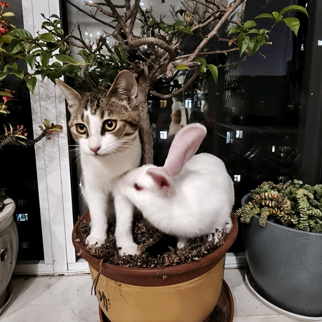 生命里的一束光