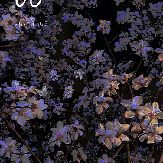 魏岗鑫合鞋服商城