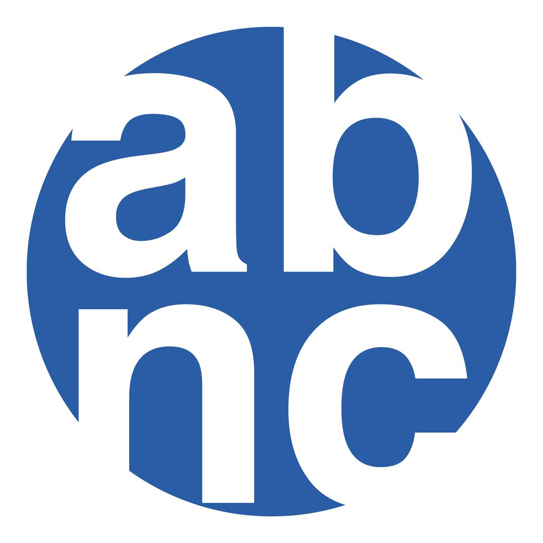 ABNC水翼