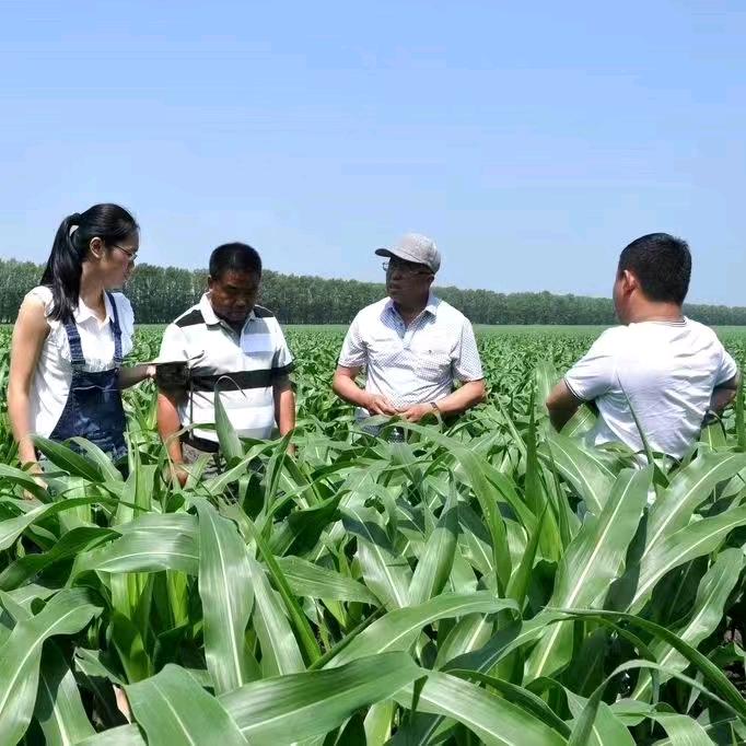 河南禾溢三农说农业