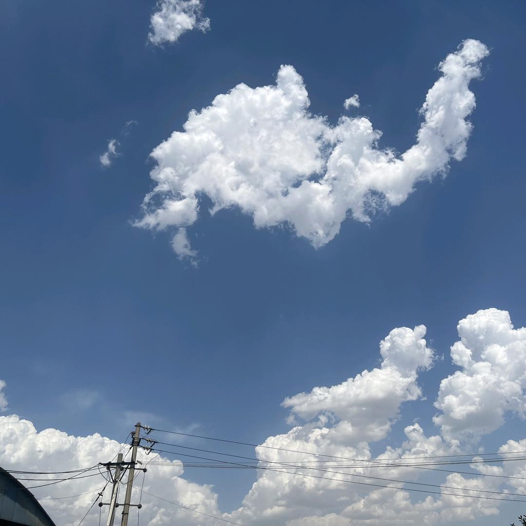 这也不对那也不对