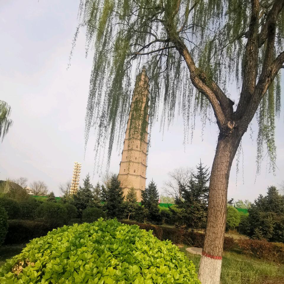 轰　　　　　´●＿＿＿＿＿＿＿