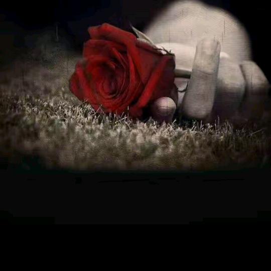 多情总被无情伤