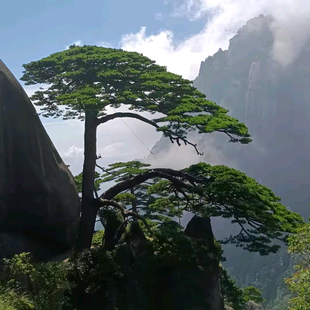 小雷