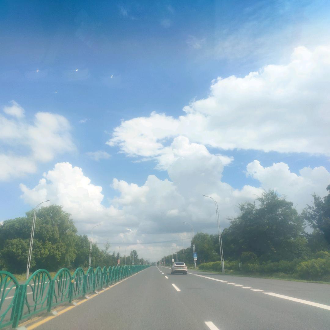 青丝入流年