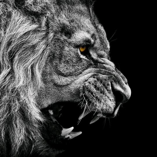 下次见面带束花