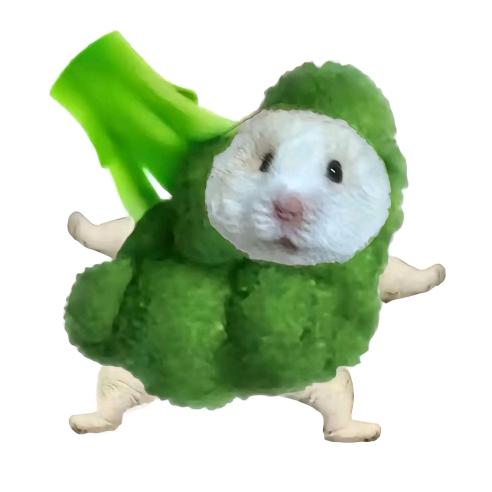 让我在高点会怎么样！！！