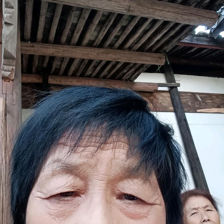 1木木美翼丰