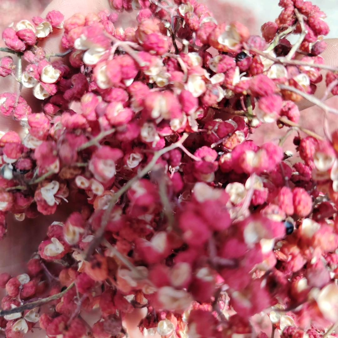 石头花椒购销，