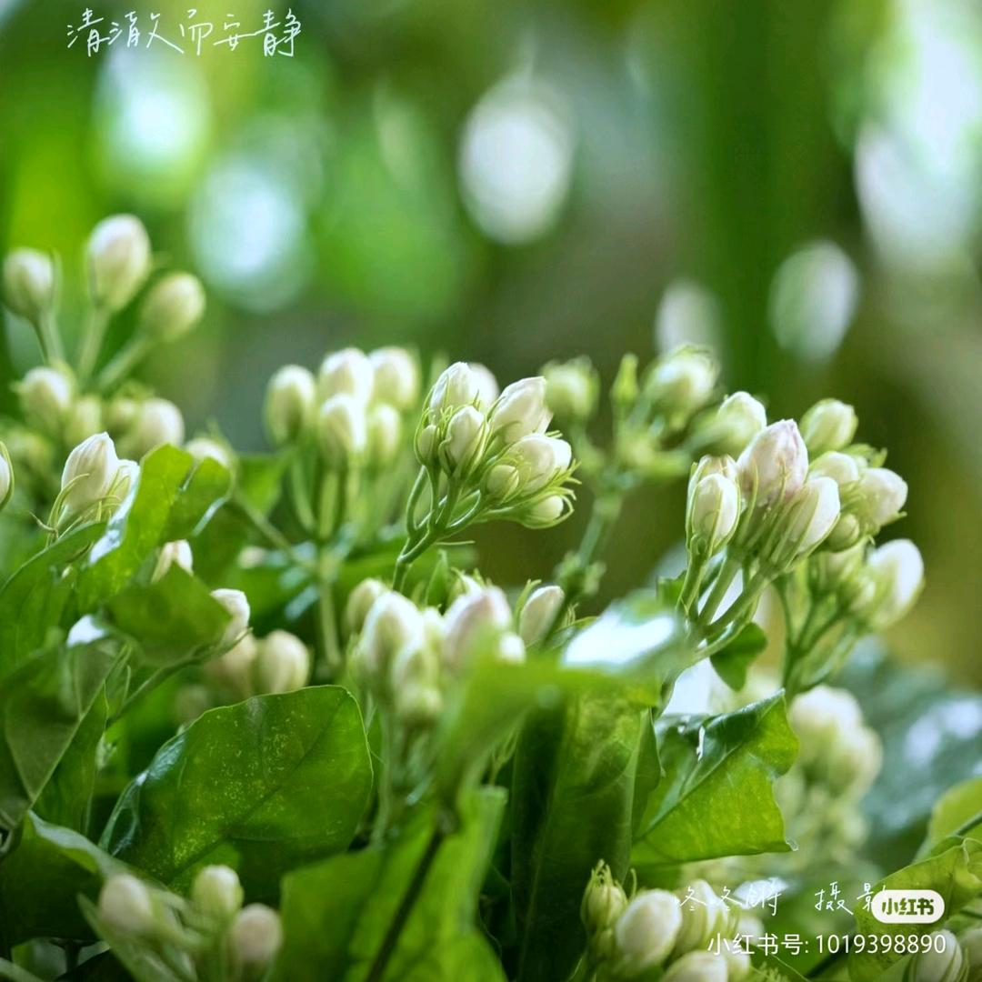 晓倩-聚品轩茶庄❤️家纺