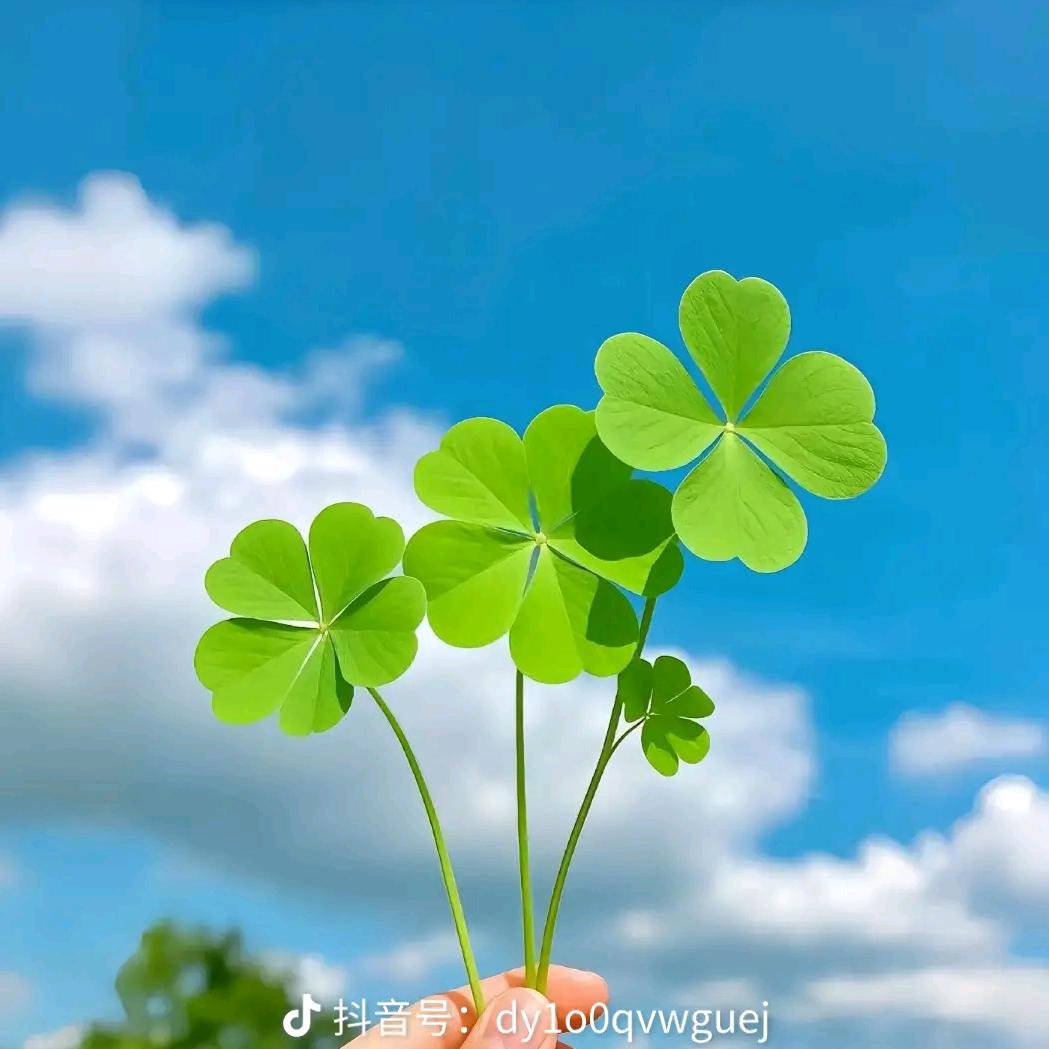 凡明家具～海先，谢绝连赞