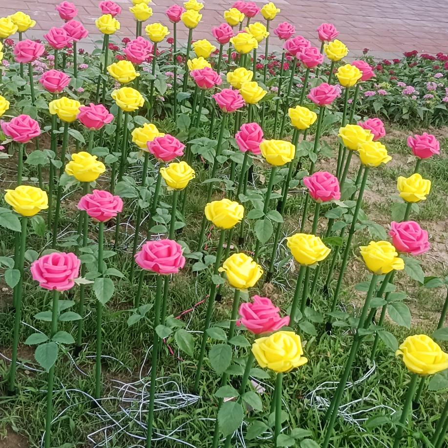 @阿龙哥，