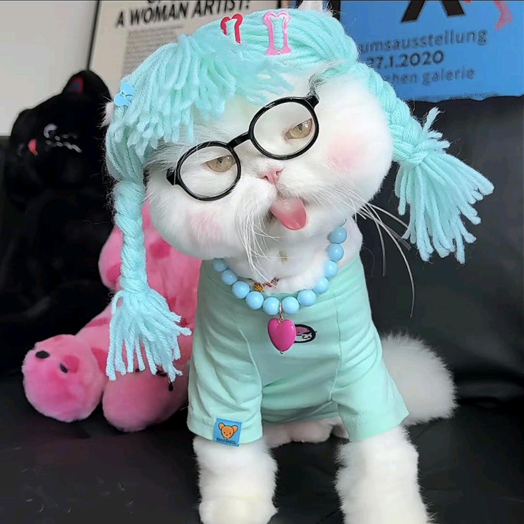 糖醋排骨