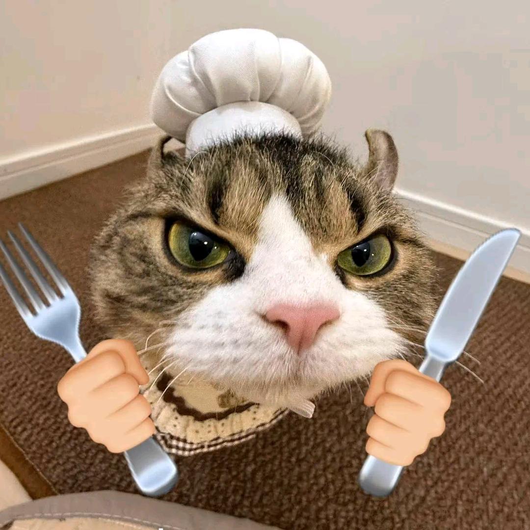 我是大厨猫