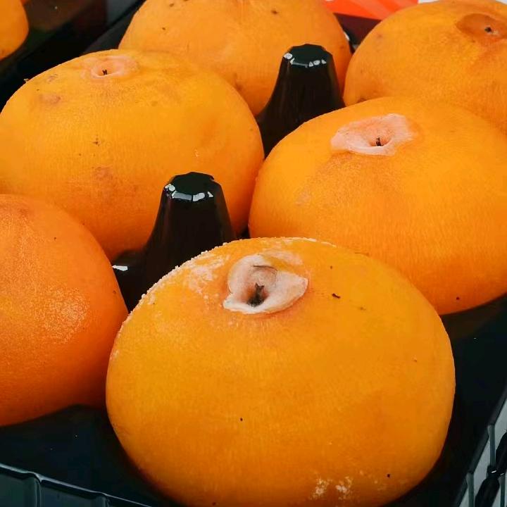 和美盛食品商行