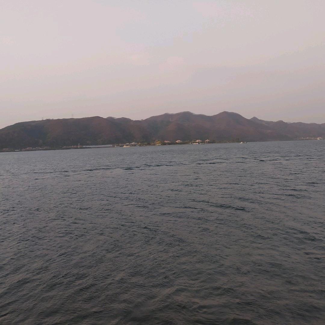 逗你玩