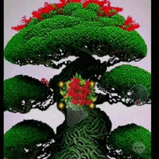 单🌹身🌹男🌹人🌹周。