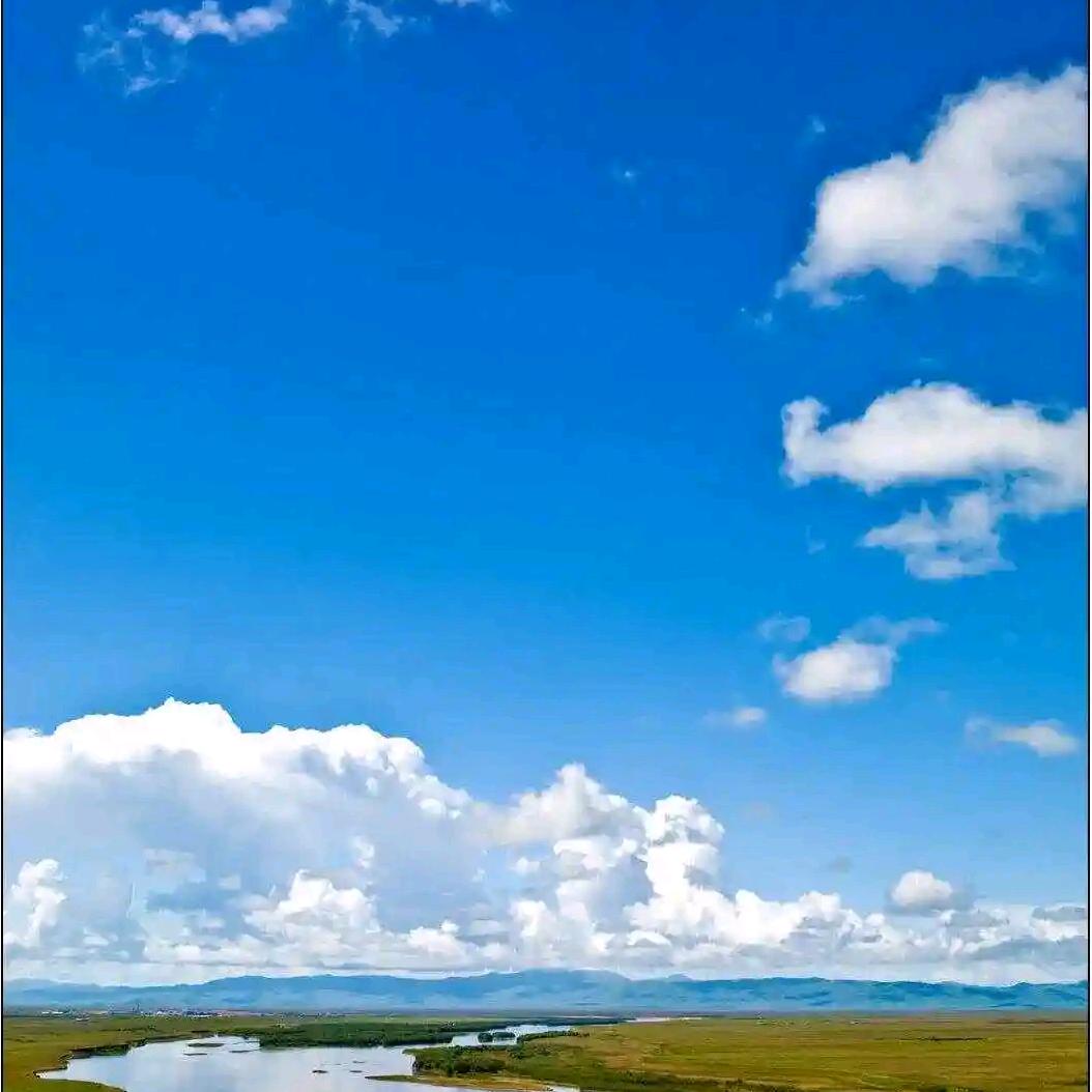 锦鲤