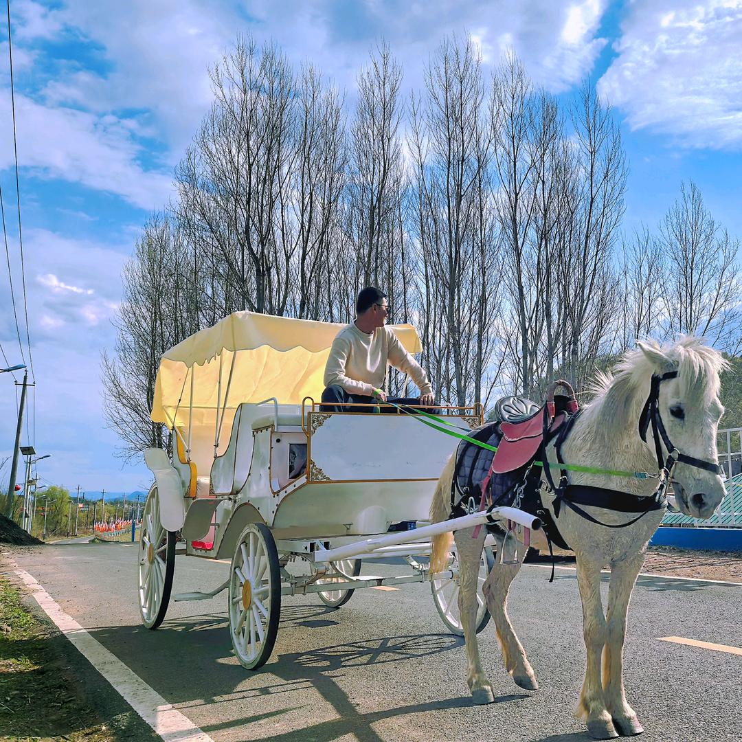 延吉市发展大坡 骑马、拍照、野骑