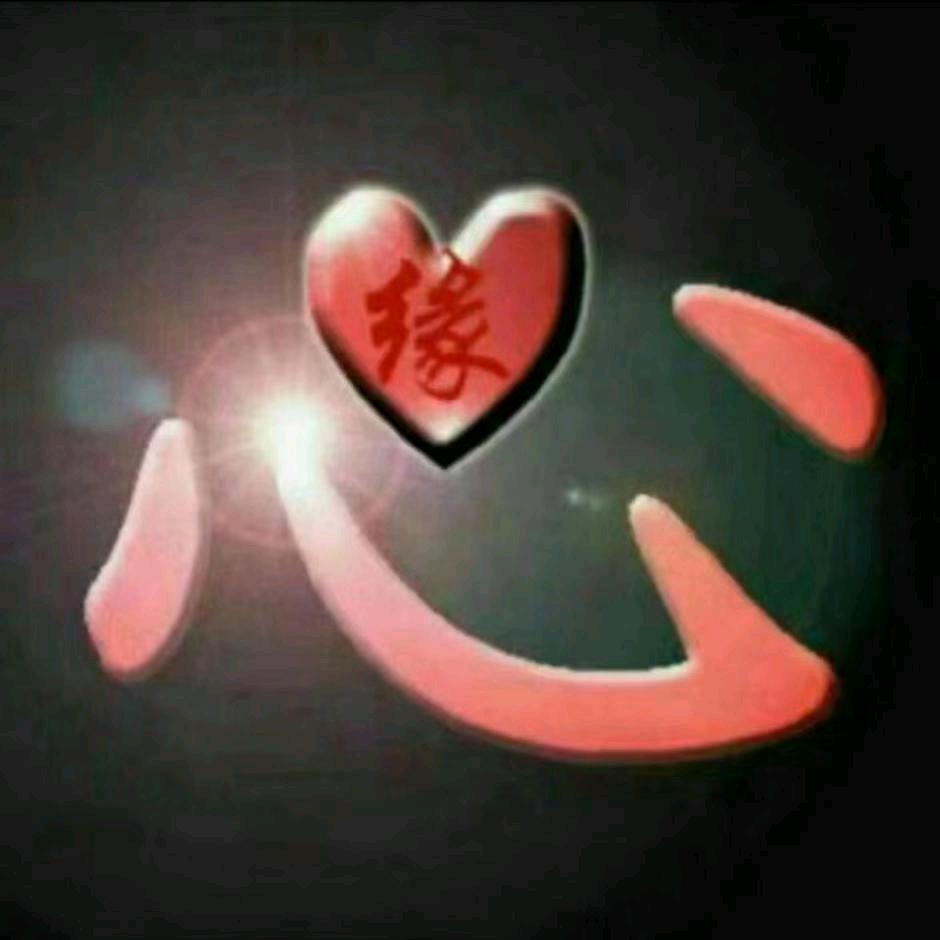有付出才有回报