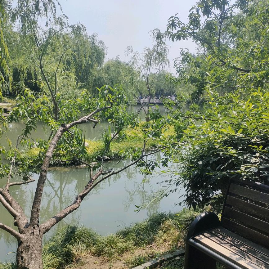 不睡觉的马