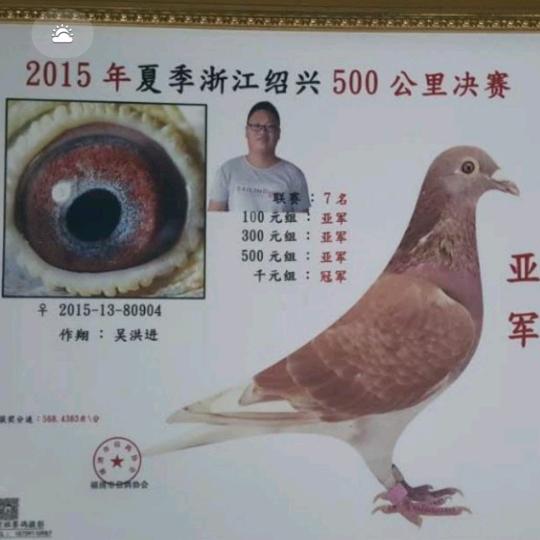 涂山苏苏