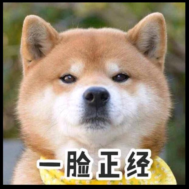 多投老吴（满仓）
