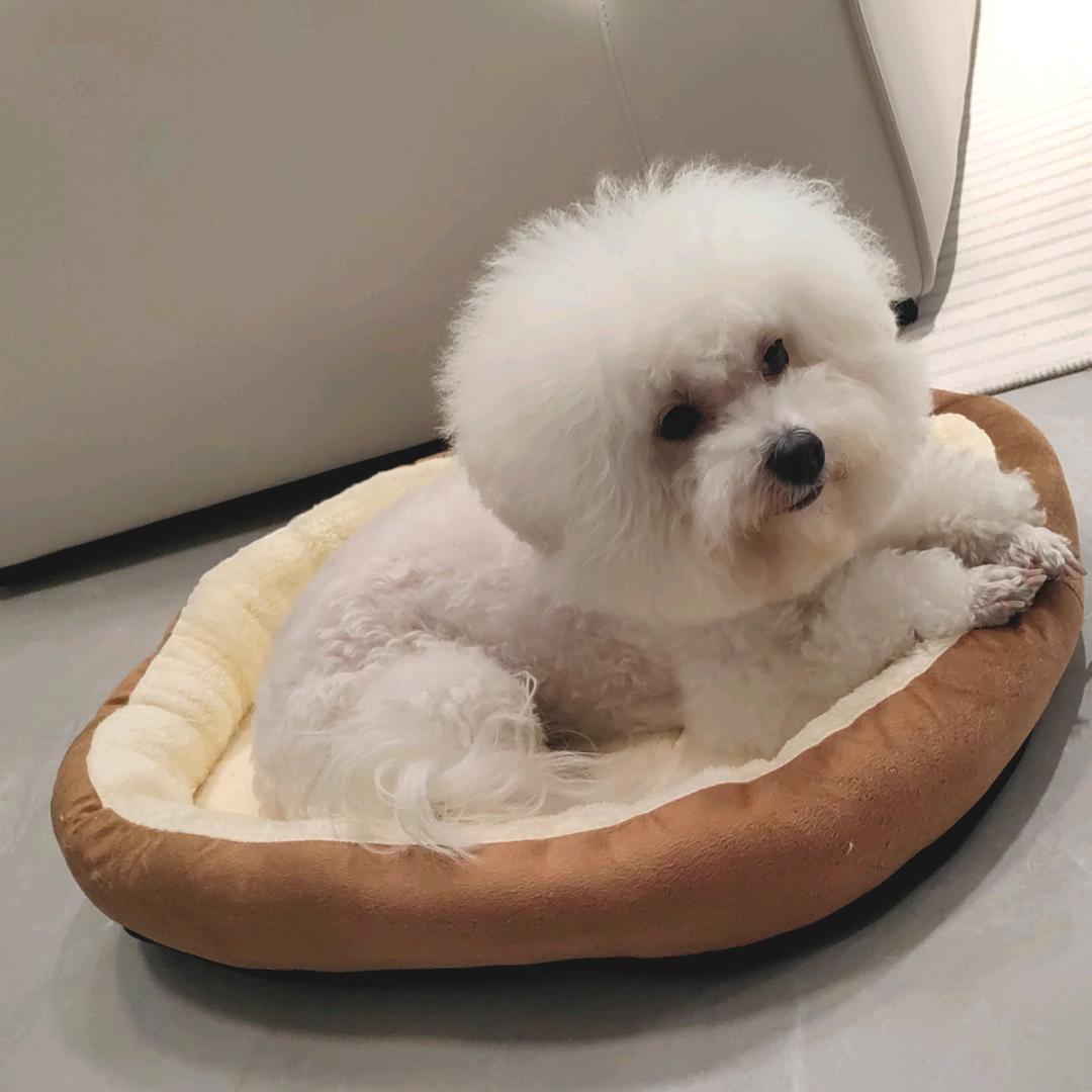 突富奇才陆炎头像