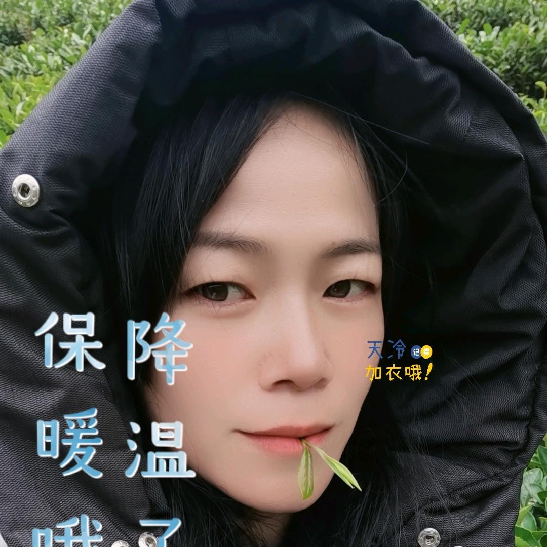 六堡镇～茶之乡