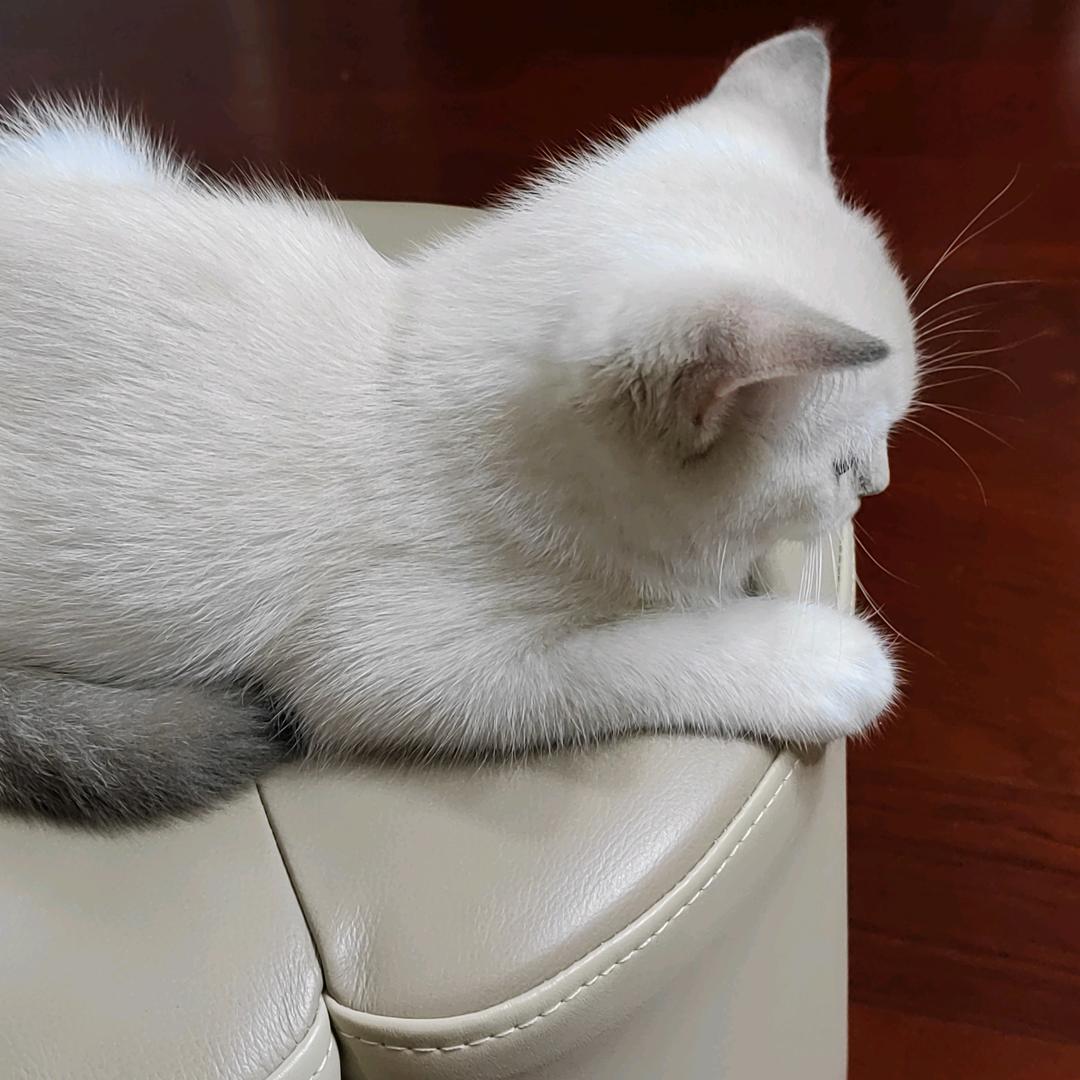 静丷汐ぴ