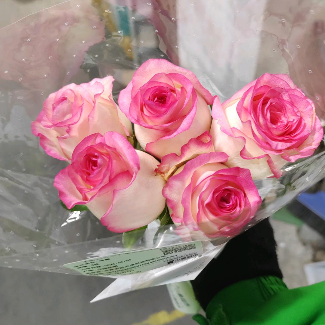 ℳঞ余生 💕 陪你❧到老