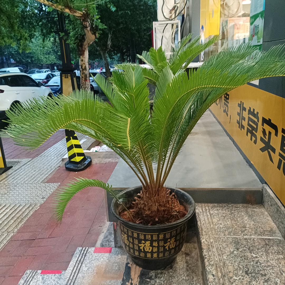 团结婚:庆