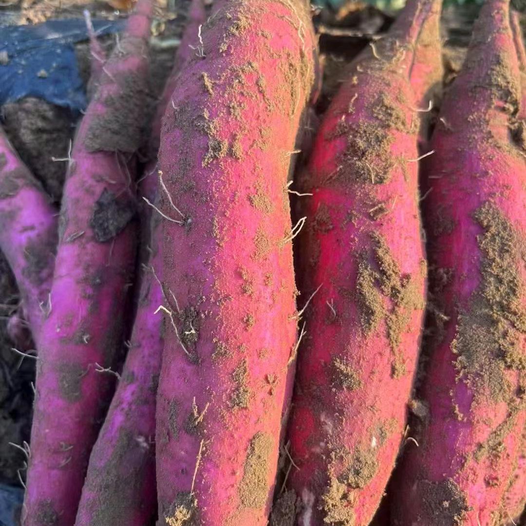 大荔县诚艺农业发展有限公司