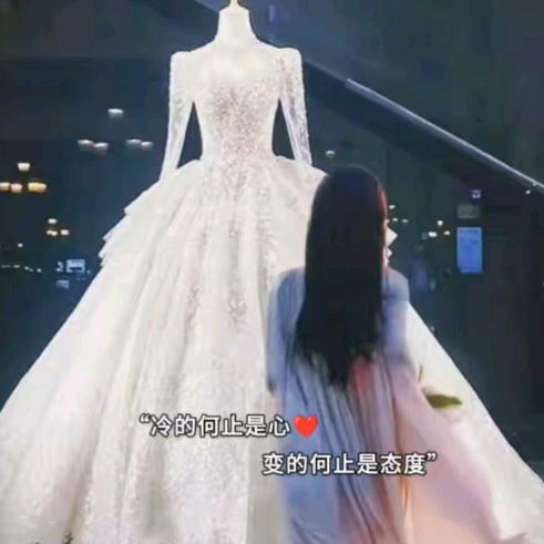 一🌹切✨随🍓缘