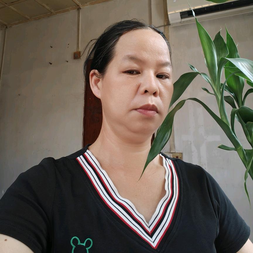 霞姐