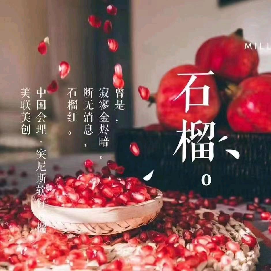 翱翔九天
