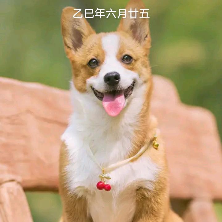 美好一天A13216