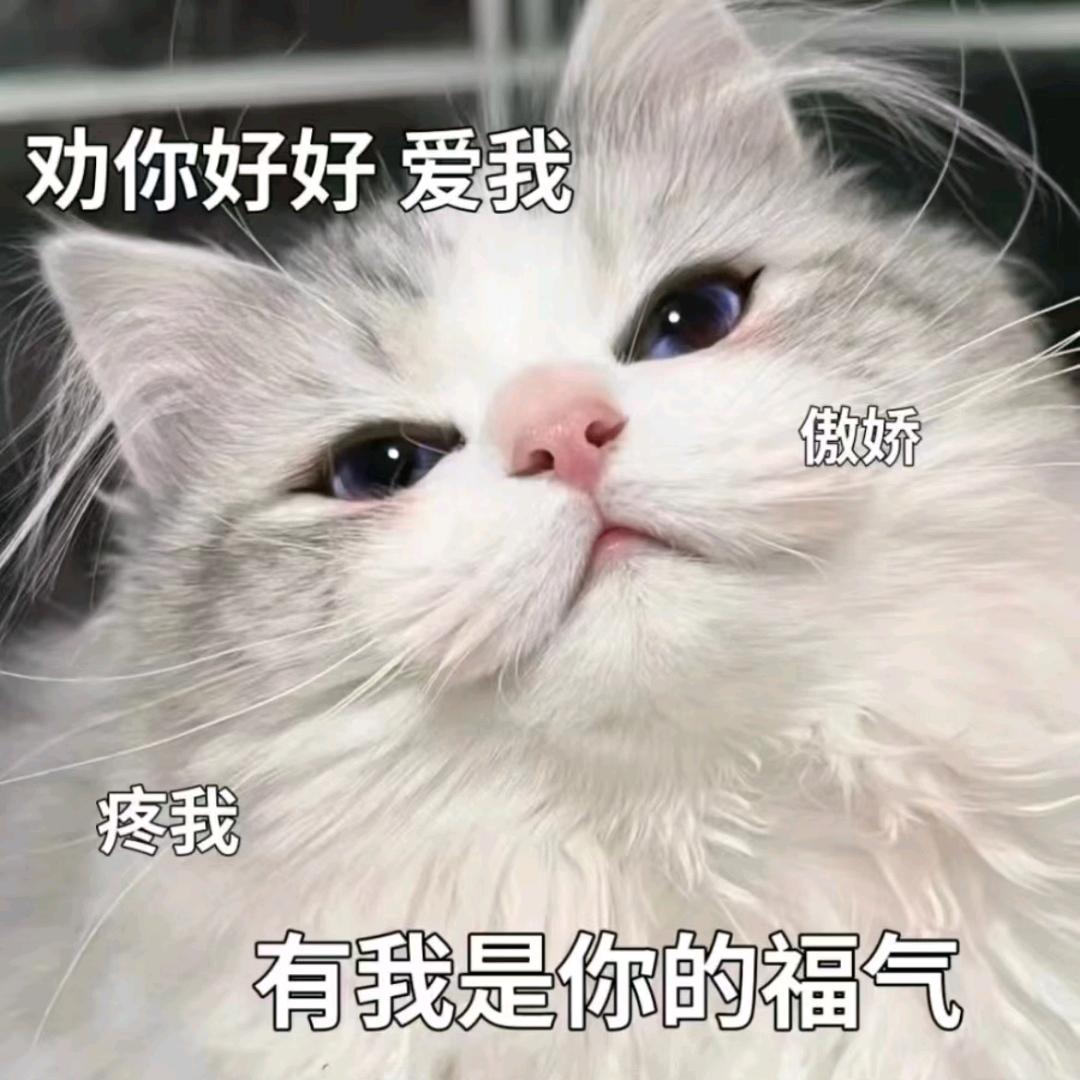 东樾