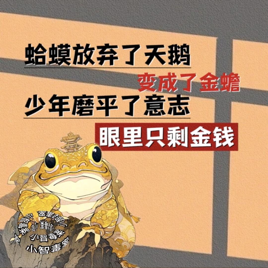三豆先生