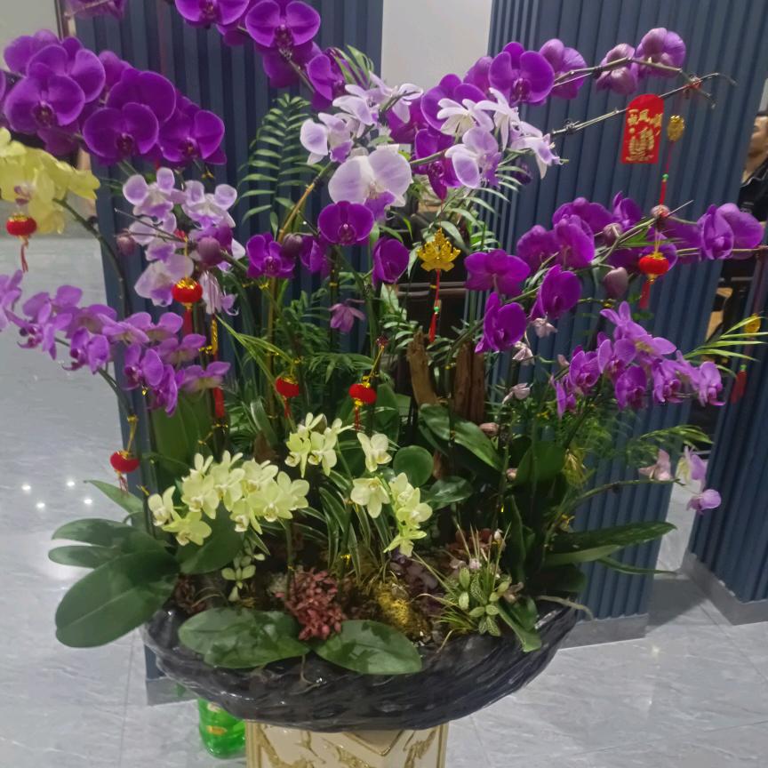 兵哥哥顺其自然