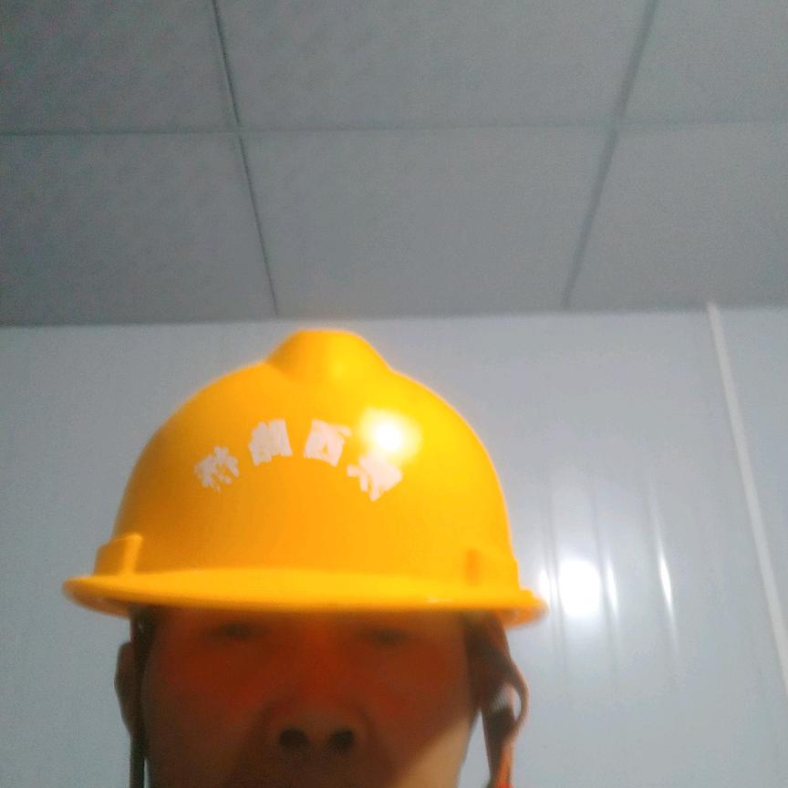 大王1334577