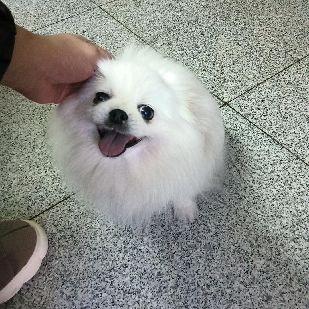 萧々萧