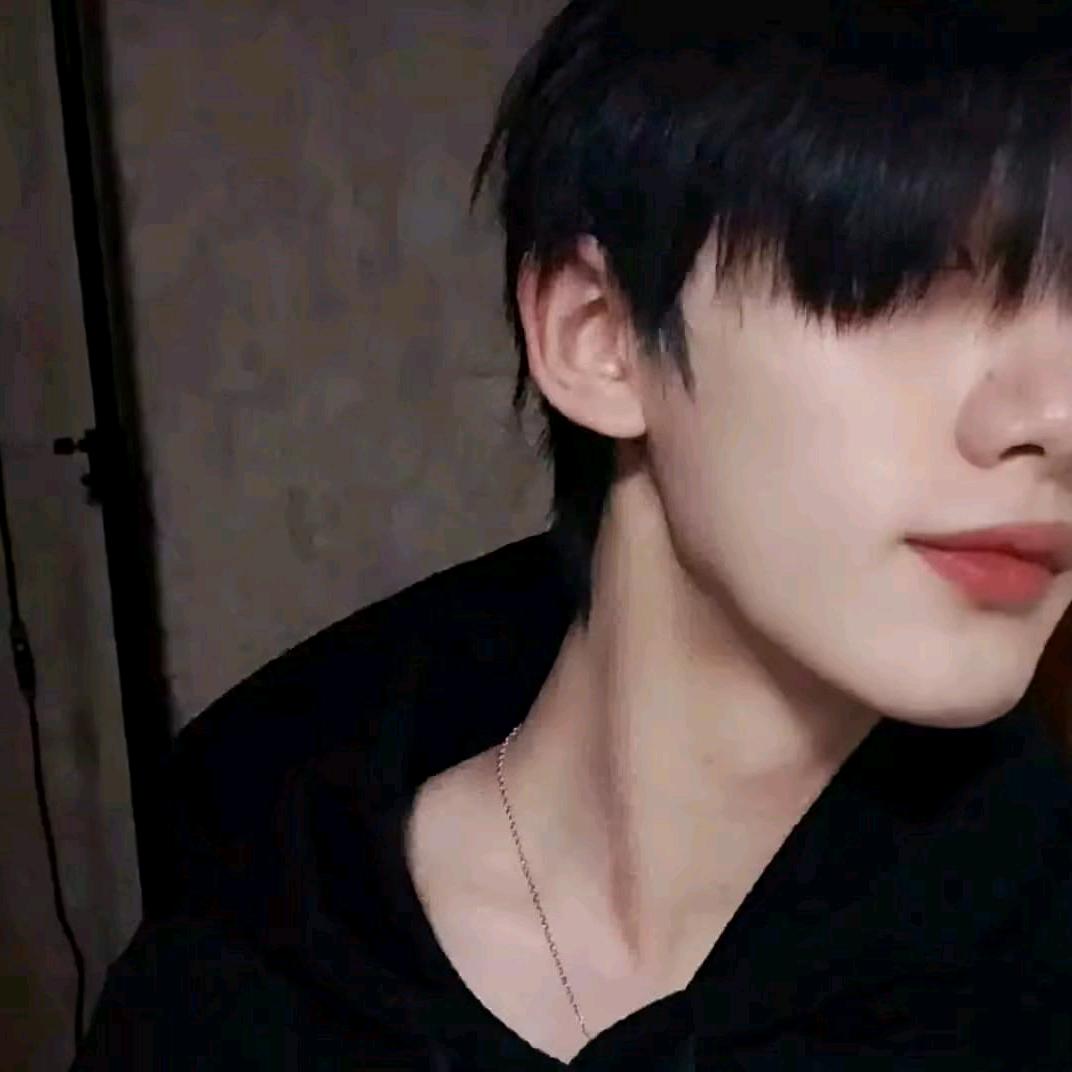 鑫鑫✨