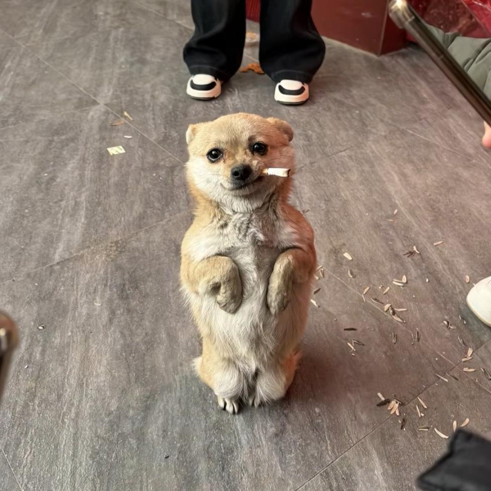 .骑着蜗牛追火箭