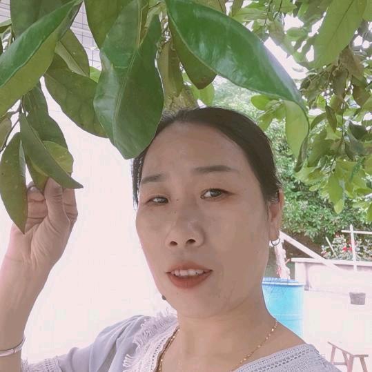 （搞涂料装修工地的）群群